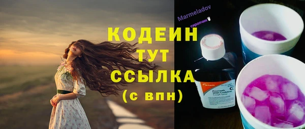 индика Пролетарск