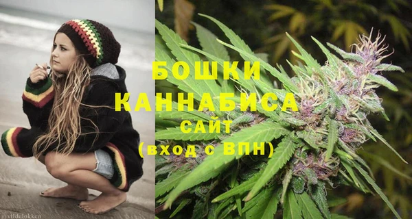 ECSTASY Александровское