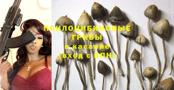индика Пролетарск