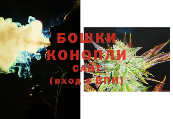 индика Пролетарск
